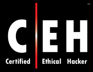 ethical hacking course online