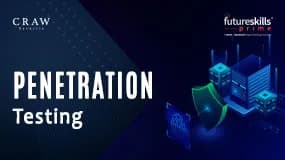 Penetration Testing