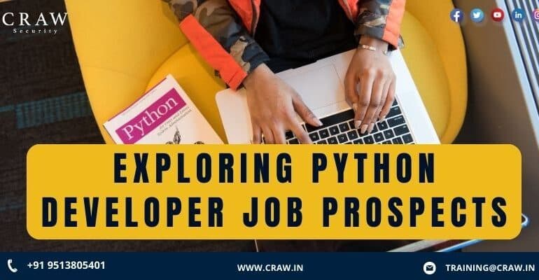 Exploring Python Developer Job Prospects | Craw Security