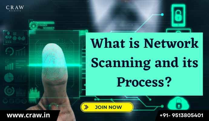What is Network Scanning and its Process?