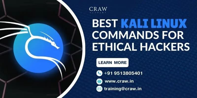 Top 74 Kali Linux Commands for Ethical Hackers [2025]