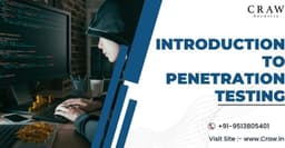 what is penetration testing