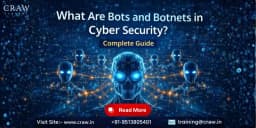 Learn about What Are Bots and Botnets in Cyber Security? Complete Guide