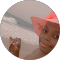 Philis Mutamba's avatar