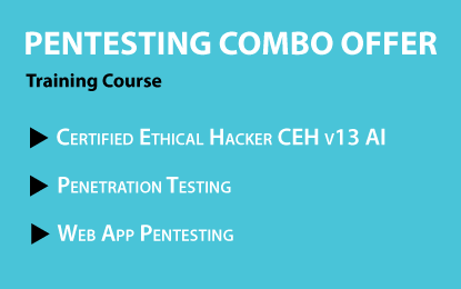 penetration Testing