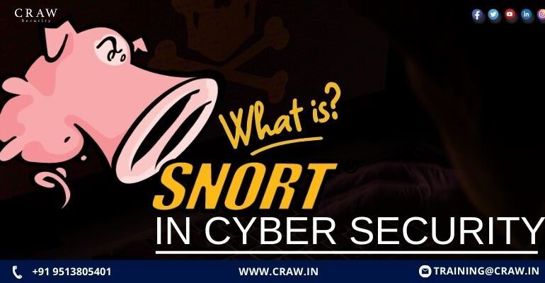 What is Snort in Cybersecurity? [2025 Updated]