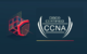 Online CISCO CCNA Course in Delhi