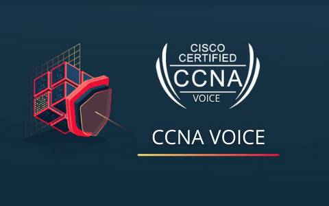 ccna voice