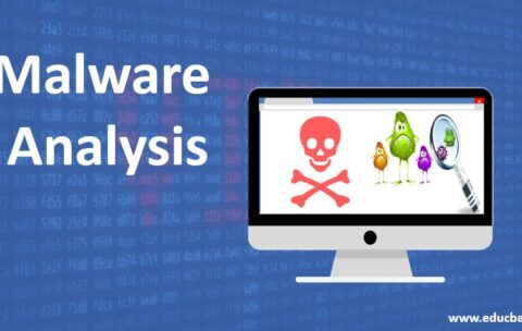 malware-analysis
