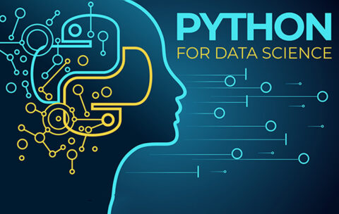 python with data science