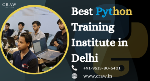 Python Training Institute