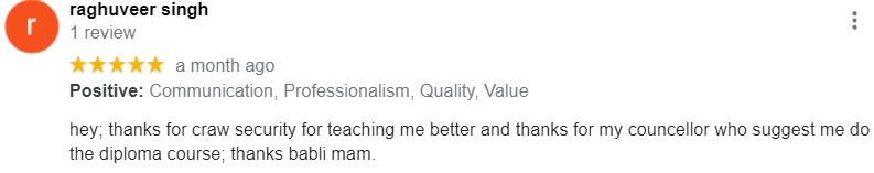 craw security google reviews 
