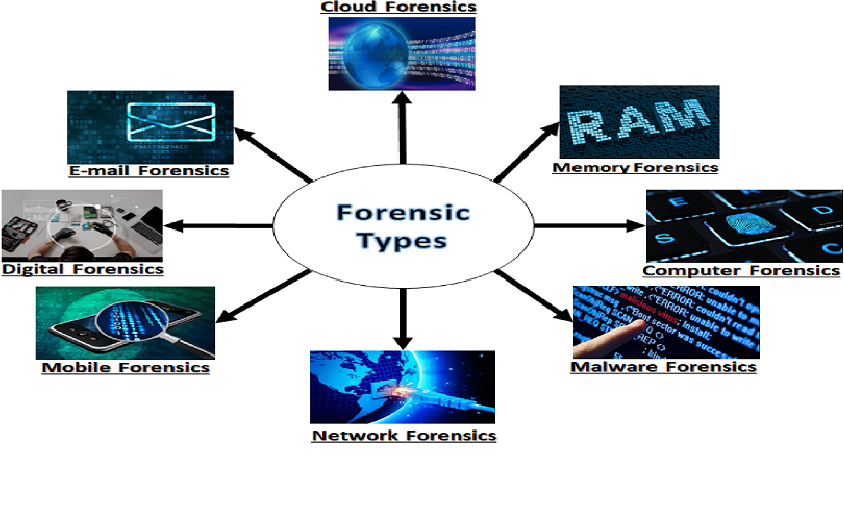 types of cyber forensics