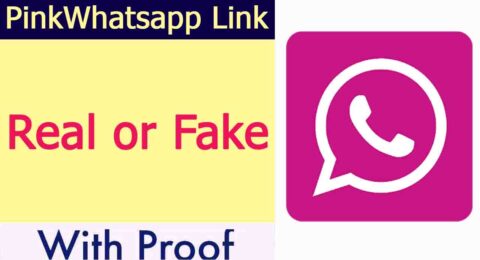 whats app pink color