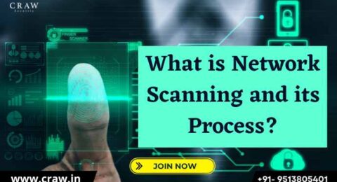 What is Network Scanning and its Process