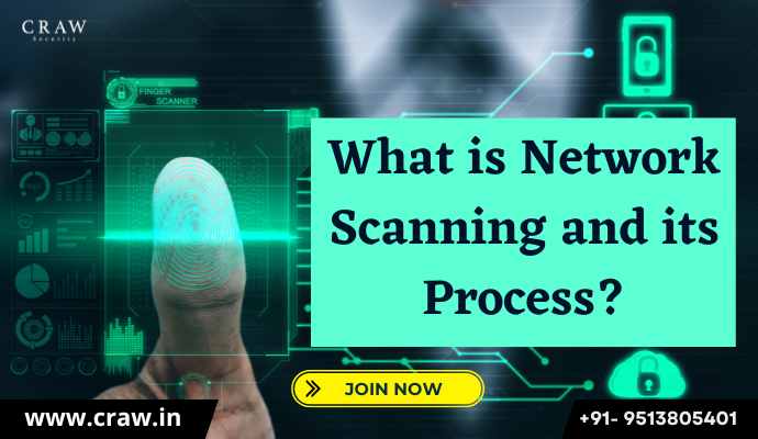 What is Network Scanning and its Process