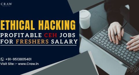 ceh freshers salary