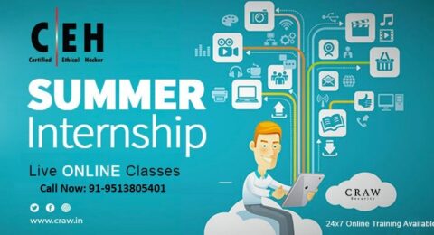 ethical hacking summer internship