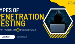 types of penetration testing