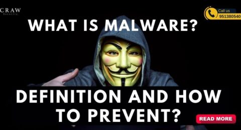 what is malware