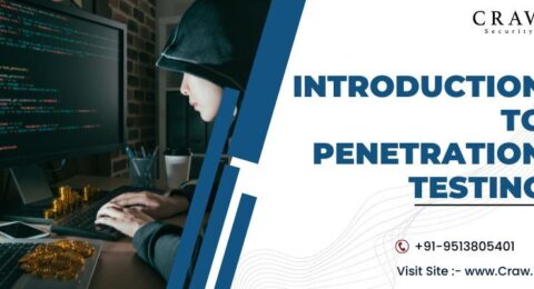 what is penetration testing