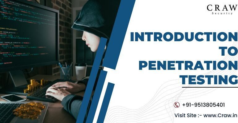 what is penetration testing