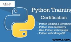 python training certification