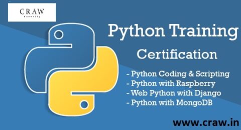 python training certification