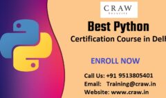 python certification course in delhi