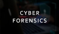 CYBER FORENSICS
