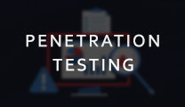PENETRATION TESTING