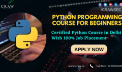 Python Programming for Beginners