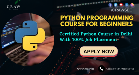 Python Programming for Beginners