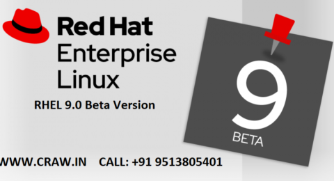 RHEL 9.0 Beta Version