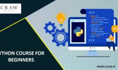 Python course for beginners