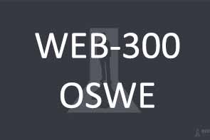 web-300