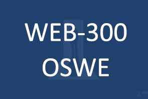 WEB-300