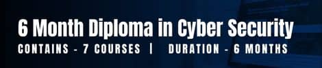 6 month cyber security diploma