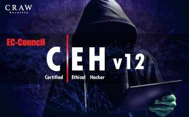 Certified Ethical hacker CEH v12 Course