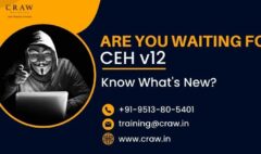 ceh v12