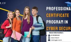 Cyber Security Certificate Programs