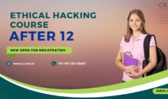 ethical hacking course after 12th