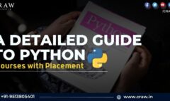 A Detailed Guide to Python Courses with Placement