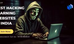 Best Hacking Learning Websites in India