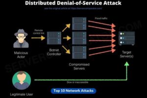 Denial of Service (DoS) & Distributed Denial of Service (DDoS)