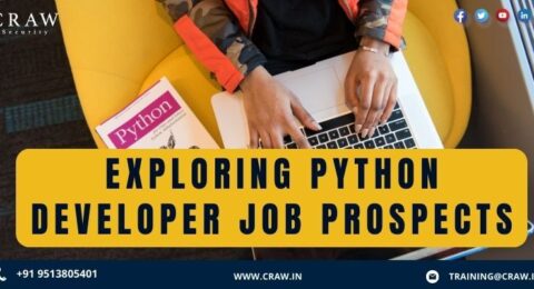 Exploring Python Developer Job Prospects