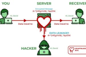 Heartbleed (2014)