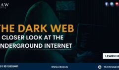 The Dark Web A Closer Look at the Underground Internet