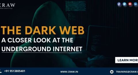 The Dark Web A Closer Look at the Underground Internet