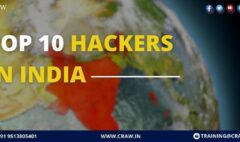 Top 10 hackers in india